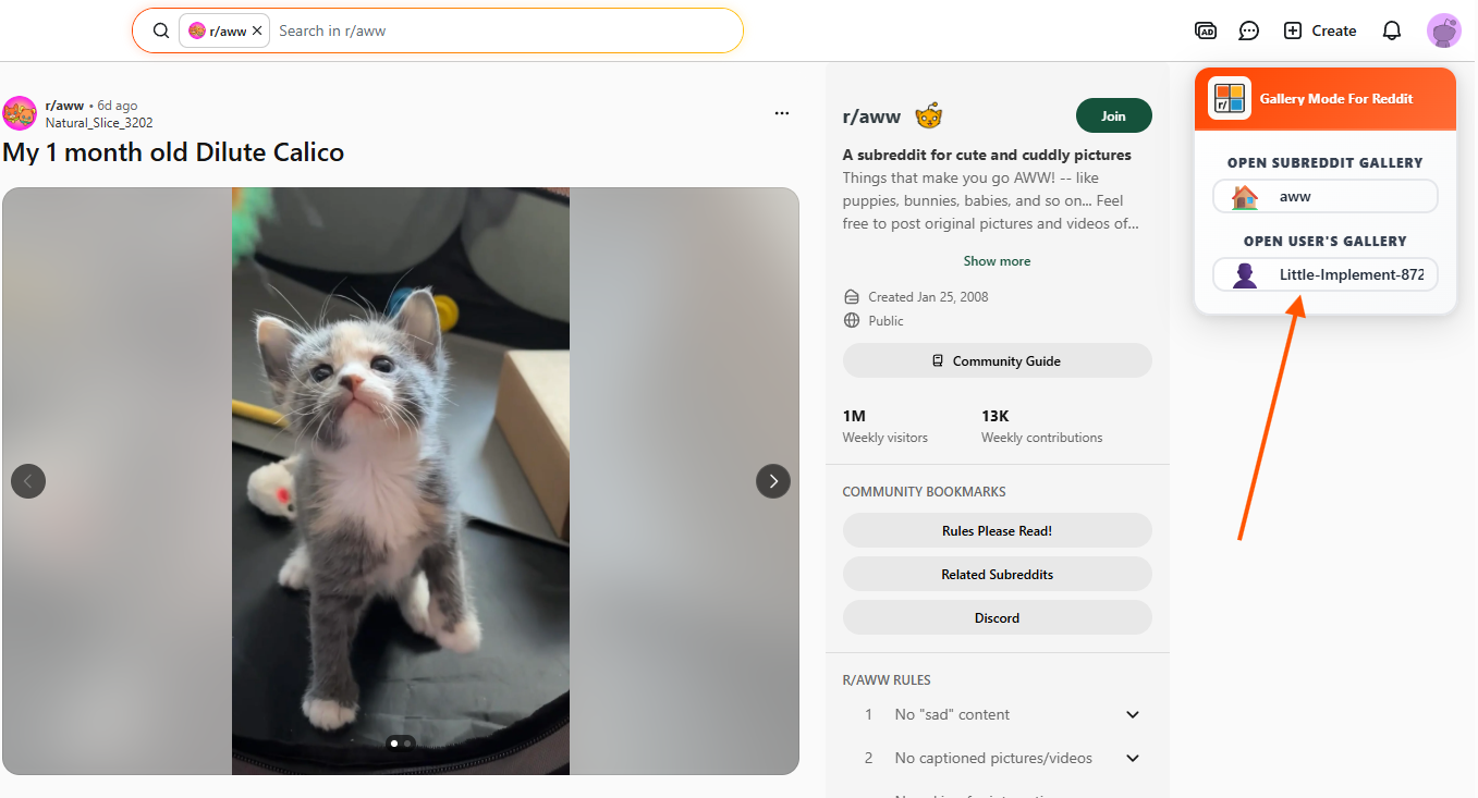 Open a User's Media Gallery